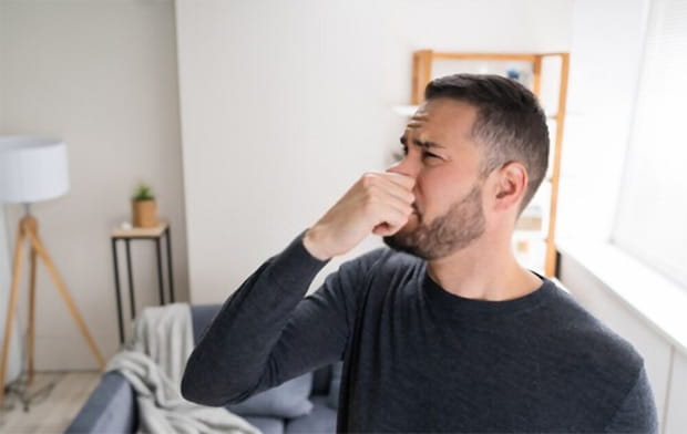 Other people will instantly notice a bad smell when they step into your house if you leave it uncleaned for too long