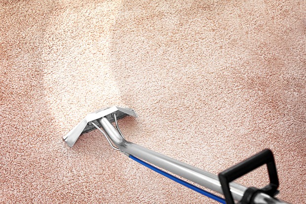 Removing dirt with professional vacuum cleaner indoors