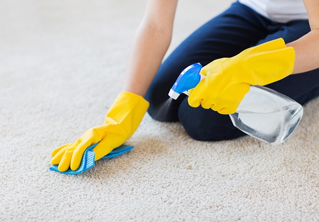 Removing Dog Hair from Carpet with Rubber Gloves