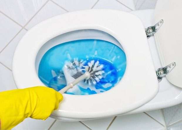 Scrubbing the toilet’s interior