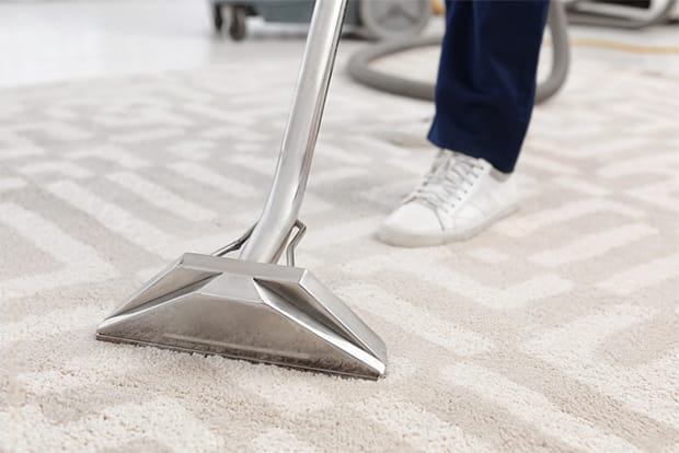 Using the right carpet cleaner machine can help you maintain the quality of your carpet for a long time