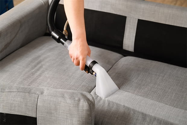 Vacuum couches frequently when living with pets