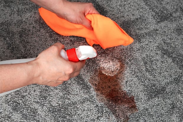 You can get blood out of carpet like a pro by yourself right at home