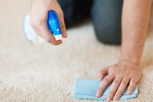 You will need to prepare some basic tools before putting your hands on getting blood out of carpet