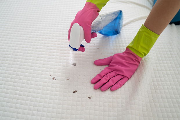 Cleaning stains on mattress topper is easy 