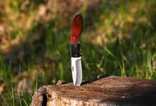 Best Pocket Knives In The World: Reviews, Buyer’s Guide
